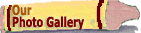 Photo gallery